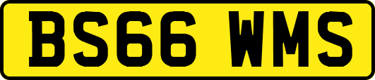 BS66WMS