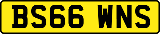 BS66WNS