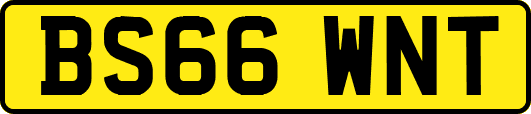 BS66WNT