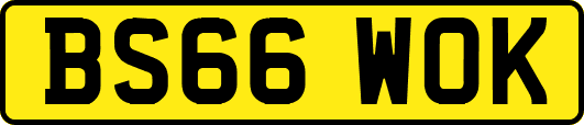 BS66WOK