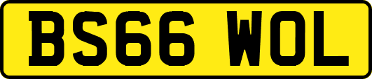 BS66WOL