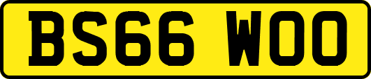 BS66WOO