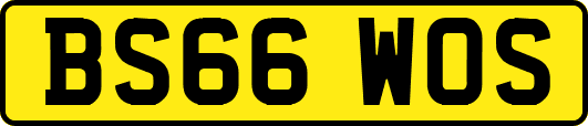 BS66WOS