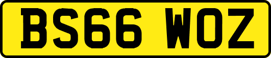 BS66WOZ