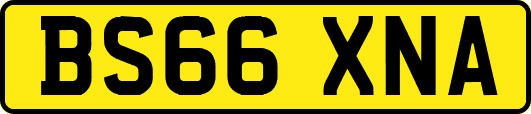 BS66XNA