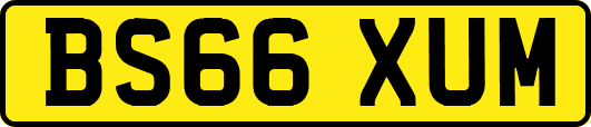 BS66XUM