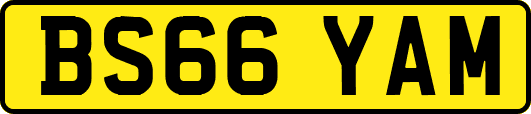 BS66YAM