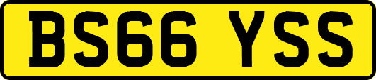 BS66YSS