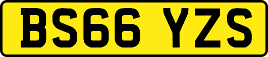 BS66YZS