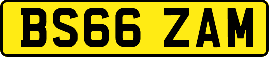 BS66ZAM