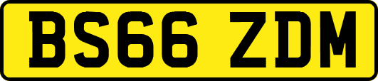 BS66ZDM