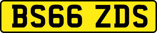 BS66ZDS