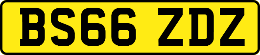 BS66ZDZ