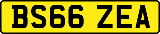 BS66ZEA