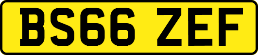 BS66ZEF