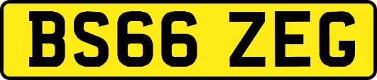 BS66ZEG
