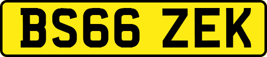 BS66ZEK