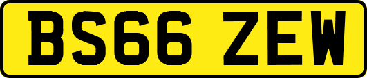 BS66ZEW