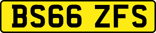 BS66ZFS