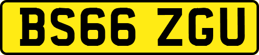 BS66ZGU