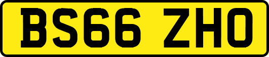 BS66ZHO