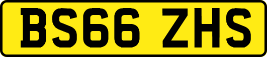 BS66ZHS