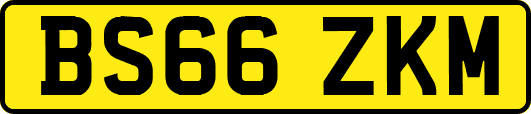 BS66ZKM