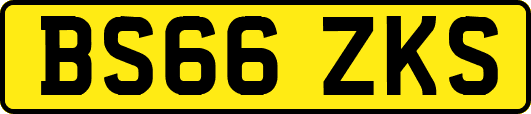 BS66ZKS