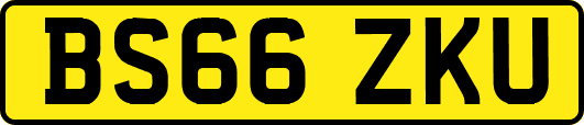 BS66ZKU