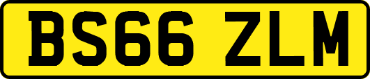 BS66ZLM