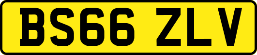 BS66ZLV
