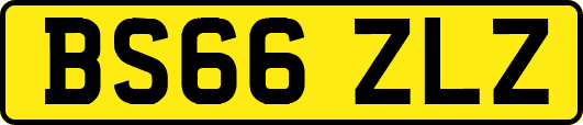 BS66ZLZ