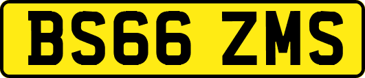 BS66ZMS