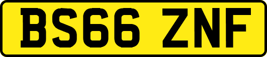 BS66ZNF