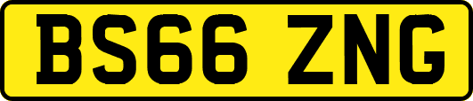 BS66ZNG