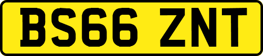 BS66ZNT