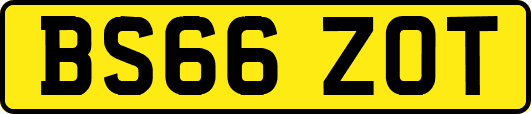 BS66ZOT
