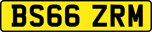 BS66ZRM