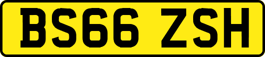 BS66ZSH