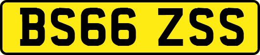 BS66ZSS