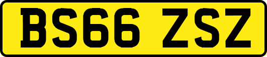 BS66ZSZ