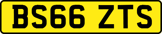 BS66ZTS