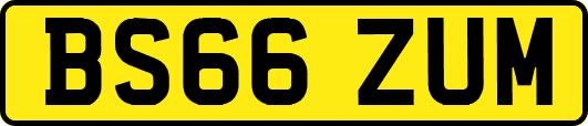 BS66ZUM