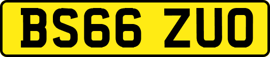BS66ZUO