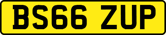 BS66ZUP