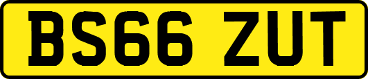 BS66ZUT