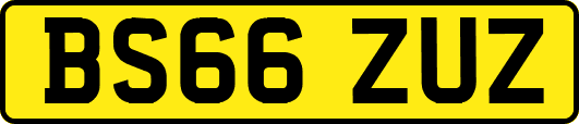BS66ZUZ