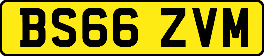 BS66ZVM