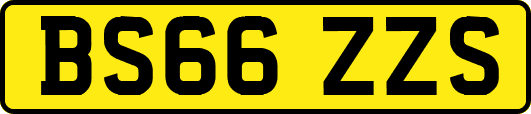 BS66ZZS