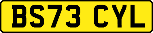 BS73CYL